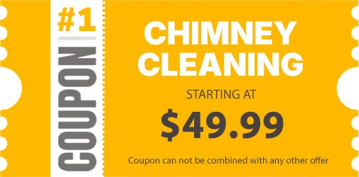 chimney cleaning special long island