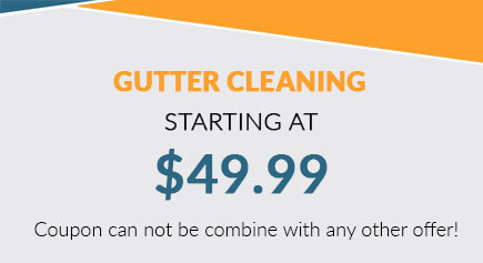 gutter cleaning special