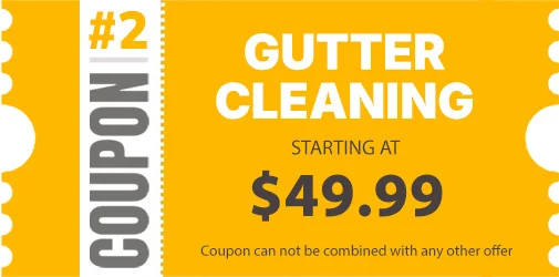 gutter cleaning special long island